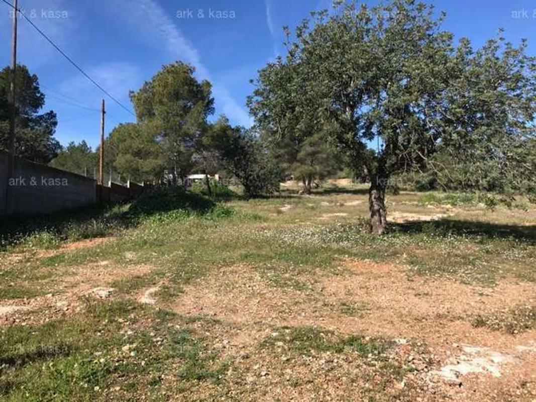 Land for sale in La Pobla de Vallbona, Valencia photo 3