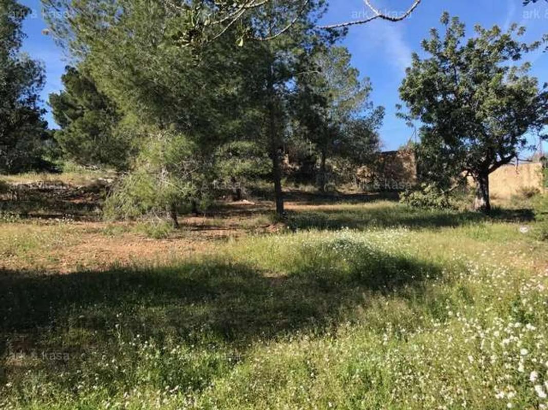 Land for sale in La Pobla de Vallbona, Valencia photo 5