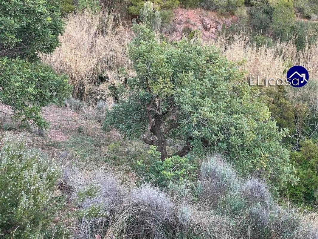 Terreno en venta en Olocau, Valencia photo 2