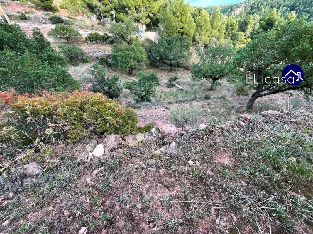Terreno en venta en Olocau, Valencia photo 3