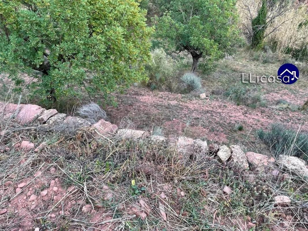 Terreno en venta en Olocau, Valencia photo 4