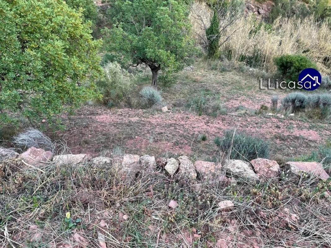 Terreno en venta en Olocau, Valencia photo 5