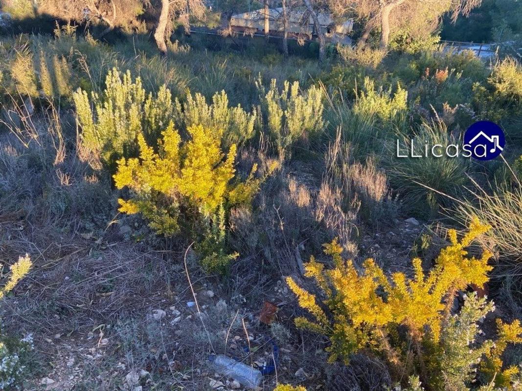 Terreno en venta en Casinos, Valencia photo 1