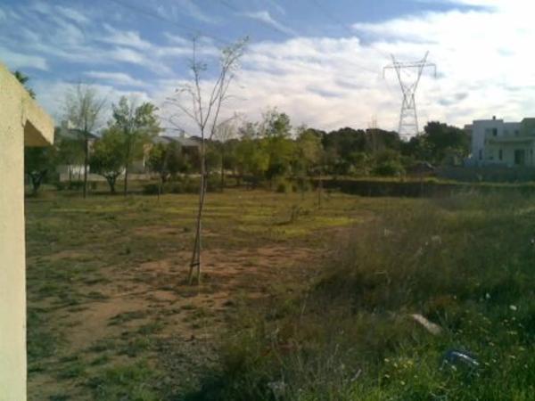 Terreno en calle Cotoliu photo 1