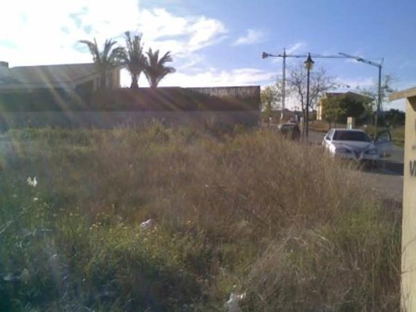 Terreno en calle Cotoliu photo 2