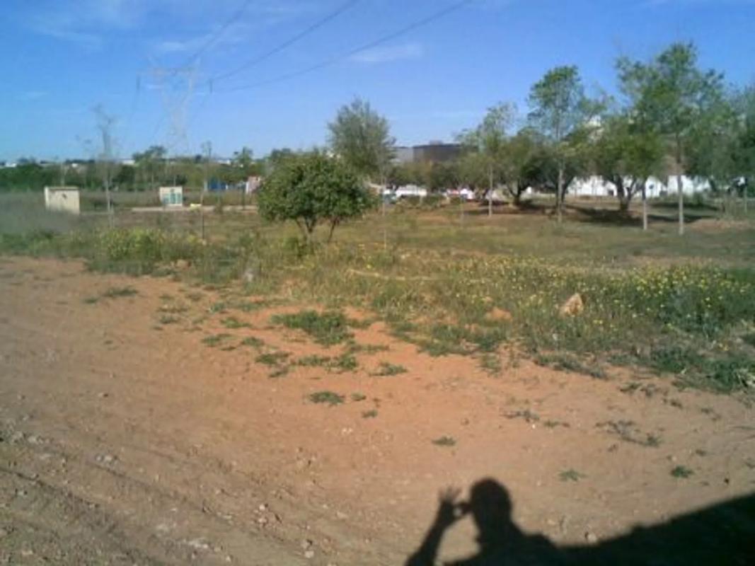 Terreno en venta en Bétera, Valencia photo 4
