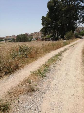 Terreno en partida de mura s/n photo 1
