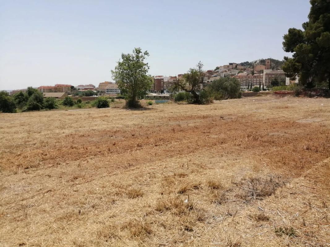 Land for sale in Llíria, Valencia photo 2