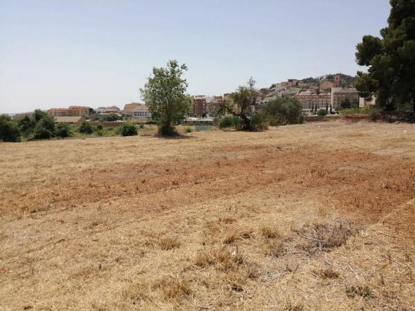 Terreno en partida de mura s/n photo 2