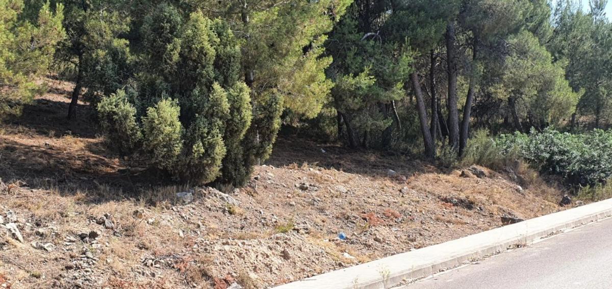 Terreno en venta en Casinos, Valencia photo 3