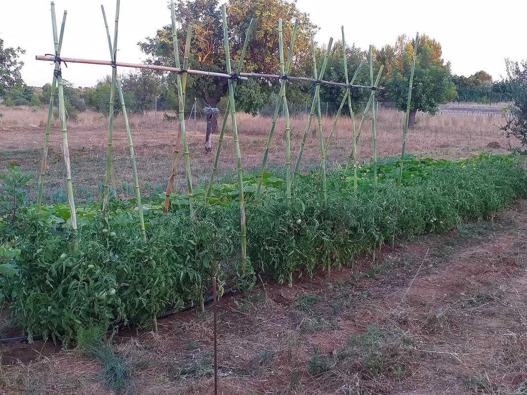 Terreno en venta en Riba-Roja de Túria, Valencia photo 1