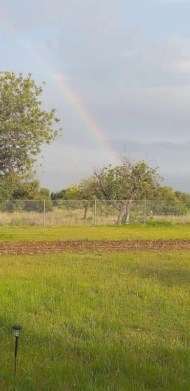 Terreno en venta en Riba-Roja de Túria, Valencia photo 2