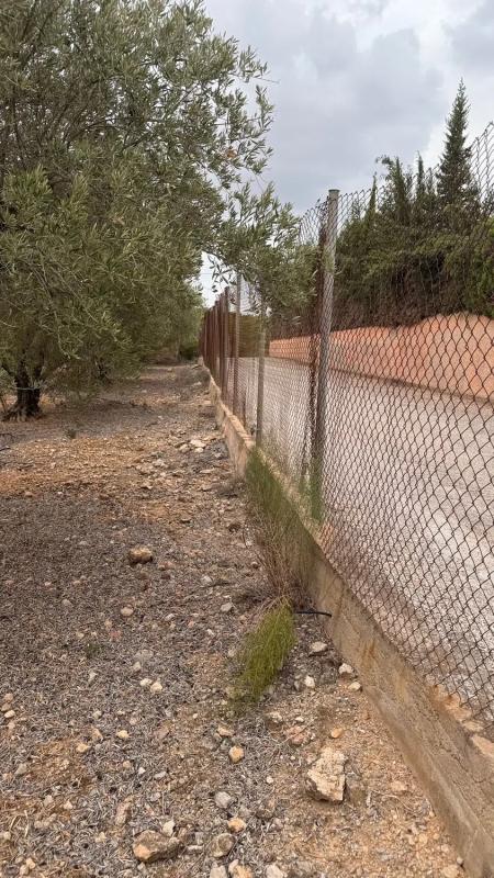 Terreno en venta en Vilamarxant, Valencia photo 2