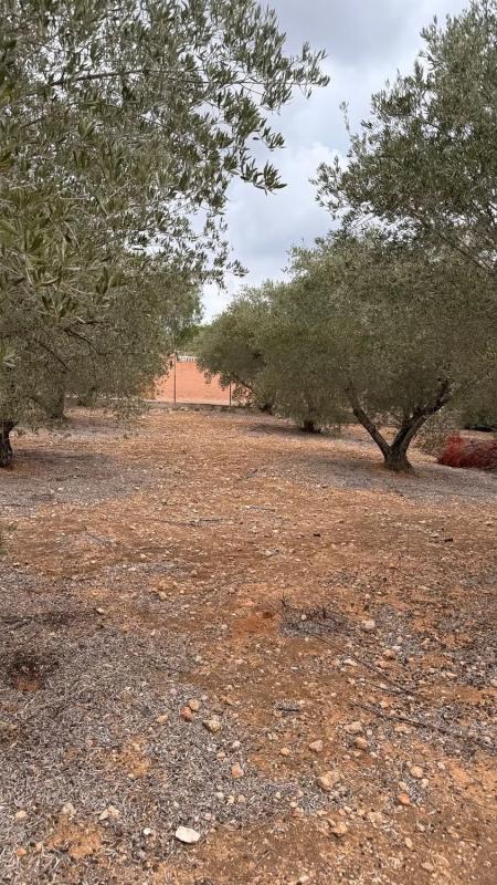 Terreno en venta en Vilamarxant, Valencia photo 4