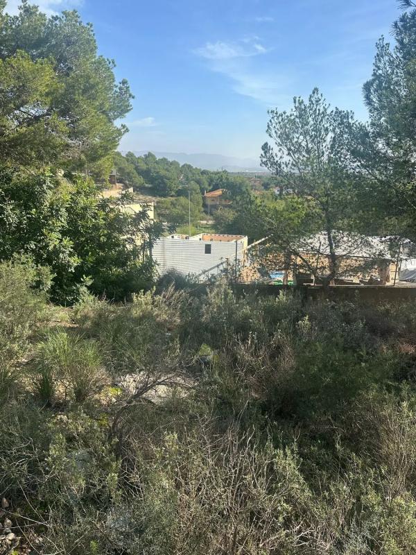 Land for sale in Casinos, Valencia photo 5