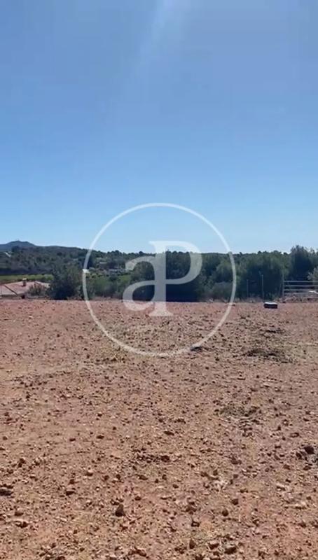 Land for sale in Náquera, Valencia photo 2