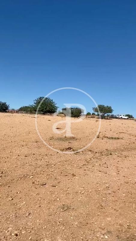 Land for sale in Náquera, Valencia photo 3