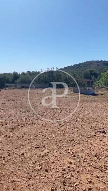 Land for sale in Náquera, Valencia photo 5