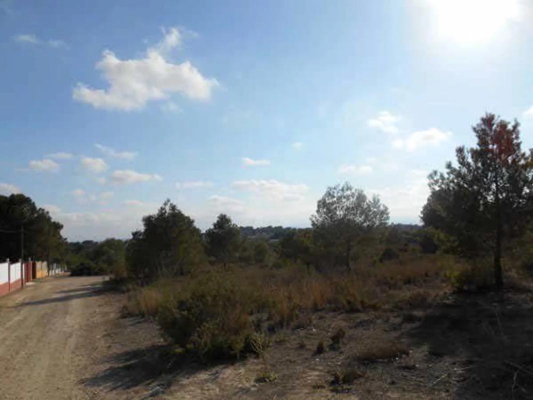Land for sale in Bétera, Valencia photo 3