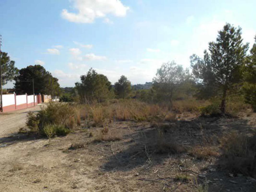 Land for sale in Bétera, Valencia photo 5