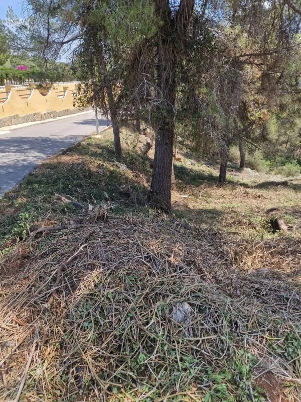 Terreno en venta en Vilamarxant, Valencia photo 4