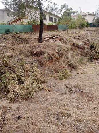 Terreno en alto Chirivilla s/n callealtochirivillasn photo 2