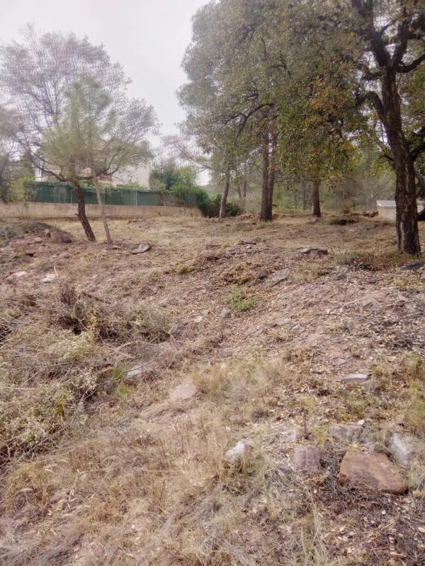 Участок земли на продажу в Гатова, Валенсия photo 4