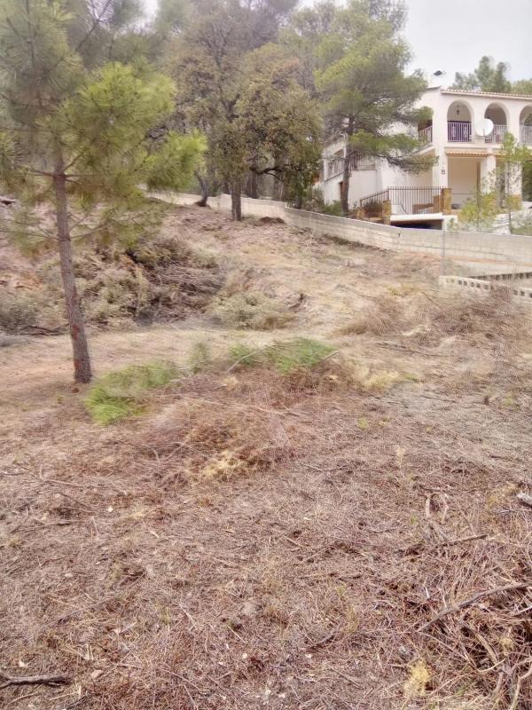 Участок земли на продажу в Гатова, Валенсия photo 5