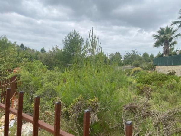 Terreno en Urbanizaciones photo 4