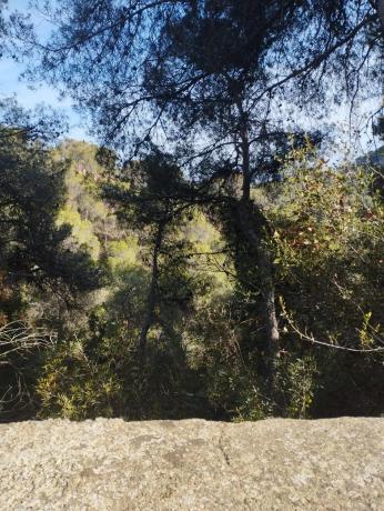 Terreno en Monteamor - La Carrasca - El Peucal photo 1