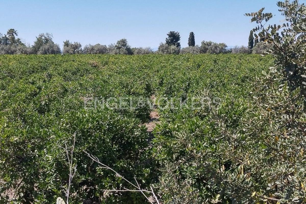 Участок земли на продажу в Ллирия, Валенсия photo 1