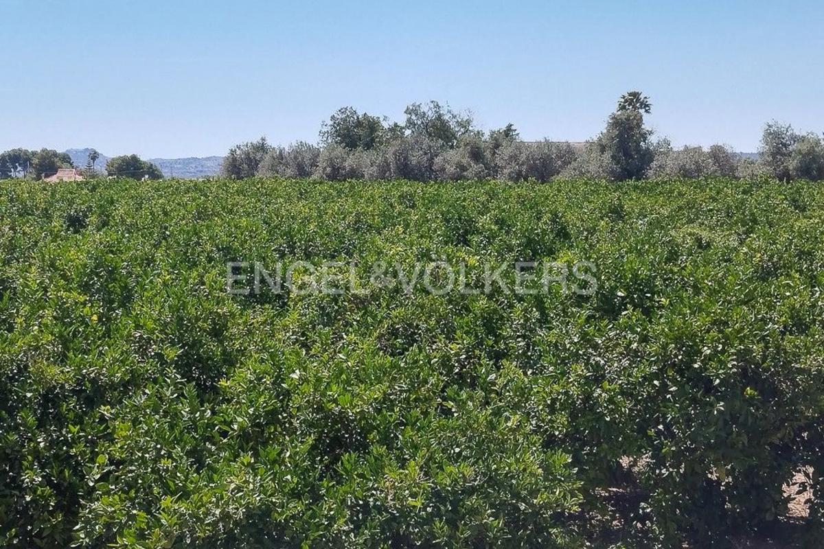Участок земли на продажу в Ллирия, Валенсия photo 2