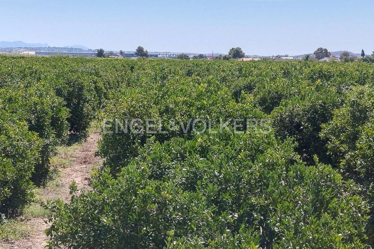 Участок земли на продажу в Ллирия, Валенсия photo 3
