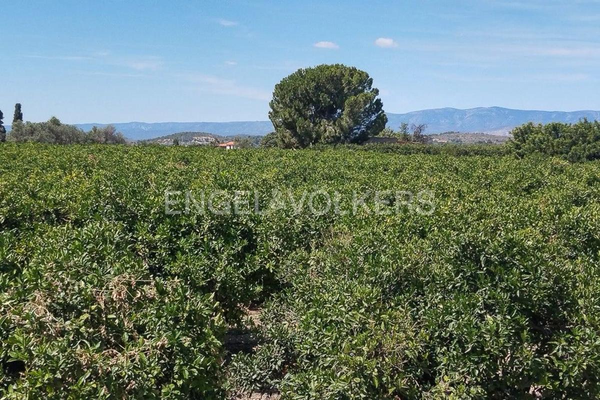 Участок земли на продажу в Ллирия, Валенсия photo 5