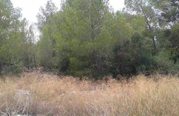 Terreno en via sense nom photo 2