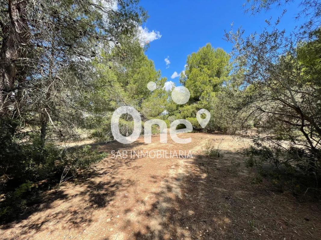 Terreno en venta en L'Eliana, Valencia photo 4