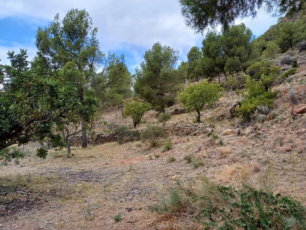 Terreno en venta en Olocau, Valencia photo 1