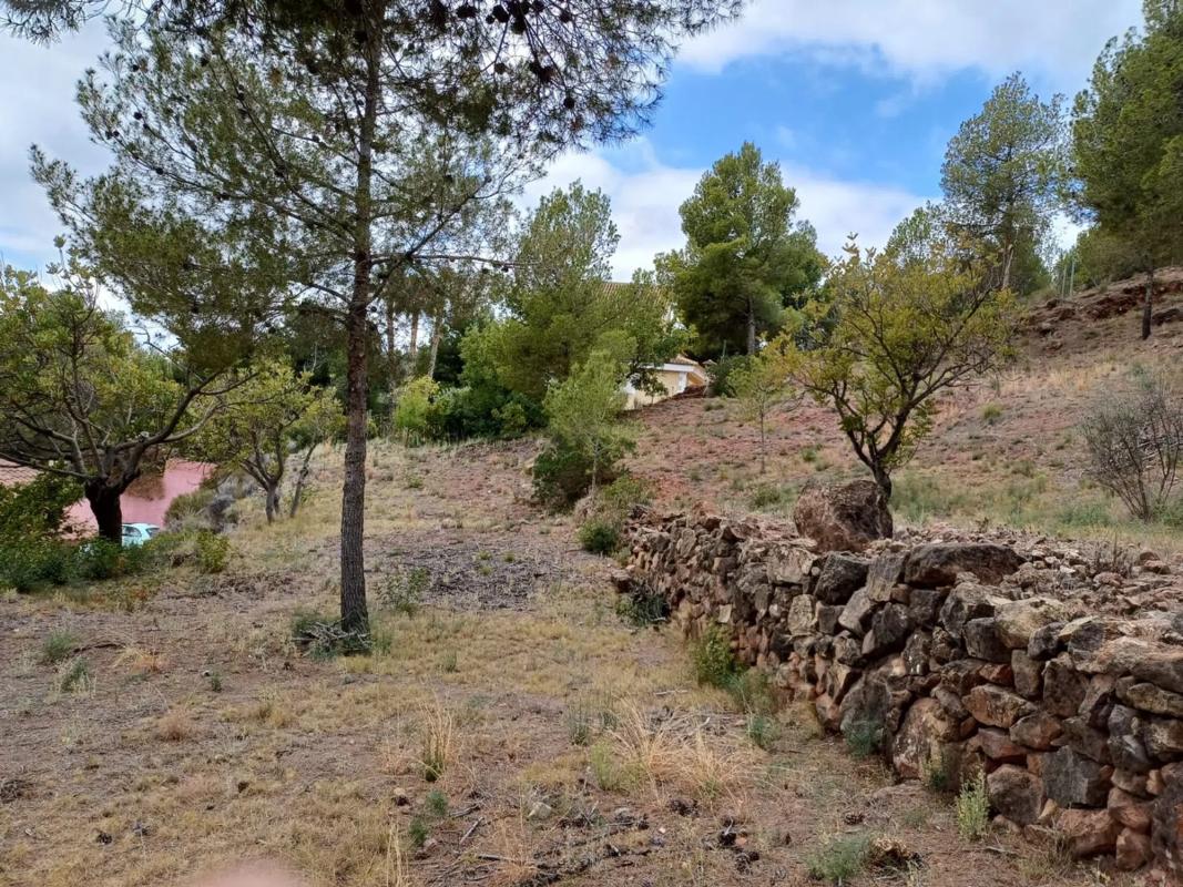 Terreno en venta en Olocau, Valencia photo 2