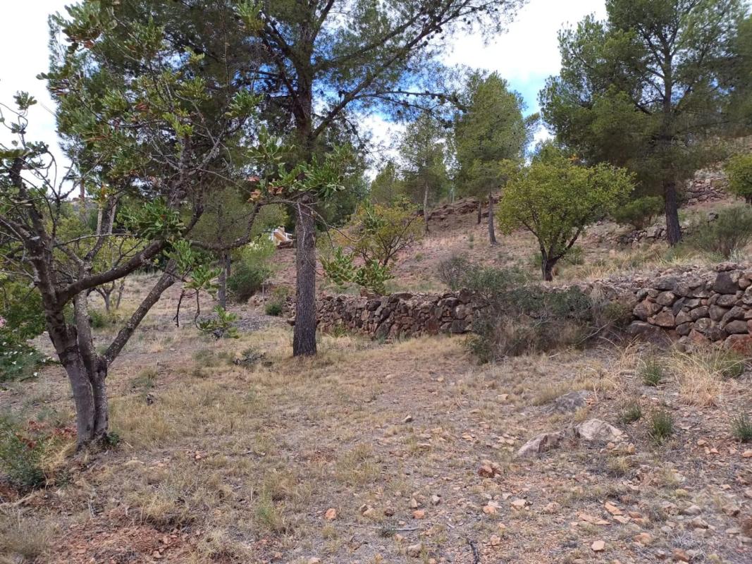 Terreno en venta en Olocau, Valencia photo 3