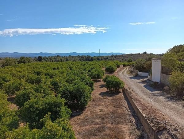 Terreno en Cv-376, km 34 photo 3