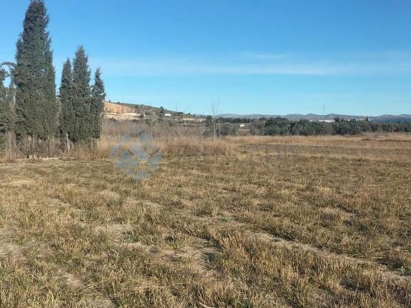 Terreno en Parque de la Bombilla-Pla de Rascanya photo 3