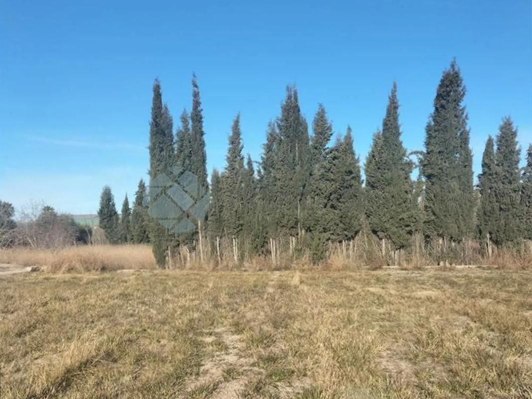 Участок земли на продажу в Ллирия, Валенсия photo 4