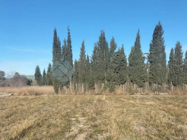Terreno en Parque de la Bombilla-Pla de Rascanya photo 4