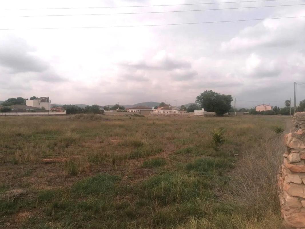 Land for sale in La Pobla de Vallbona, Valencia photo 3