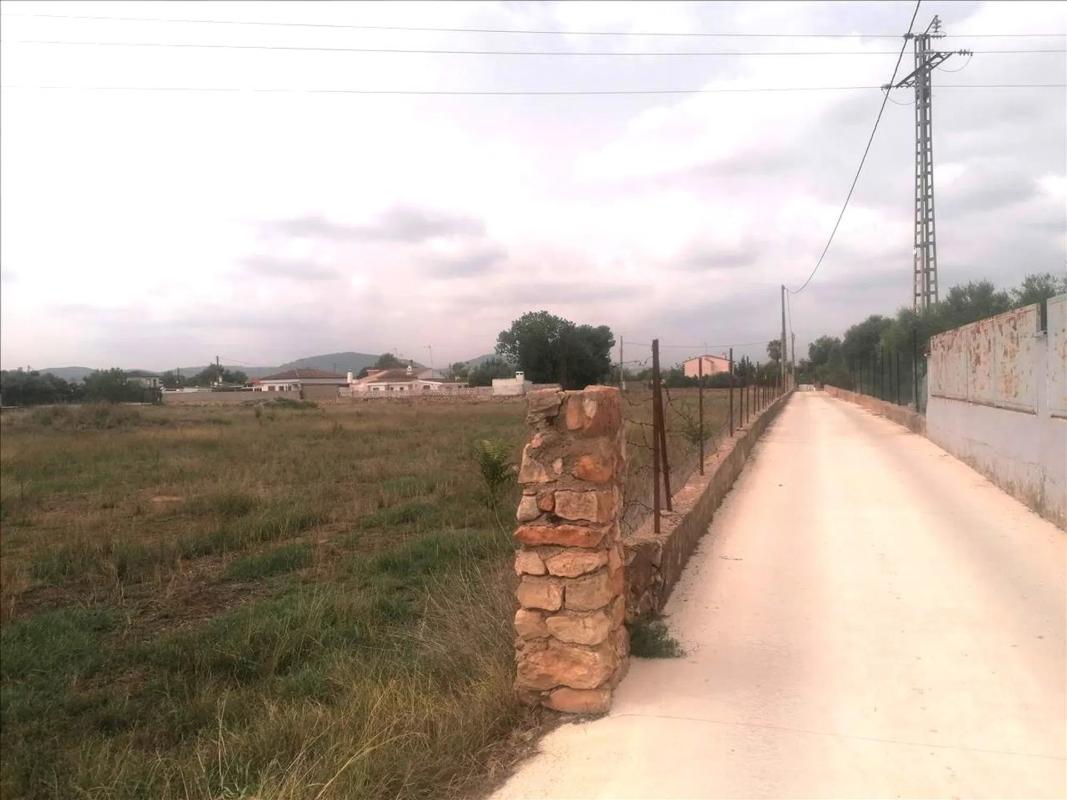 Land for sale in La Pobla de Vallbona, Valencia photo 5