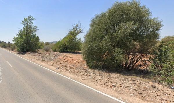 Terreno en carretera Ribarroja Gallipont, 3 thumbnail 2