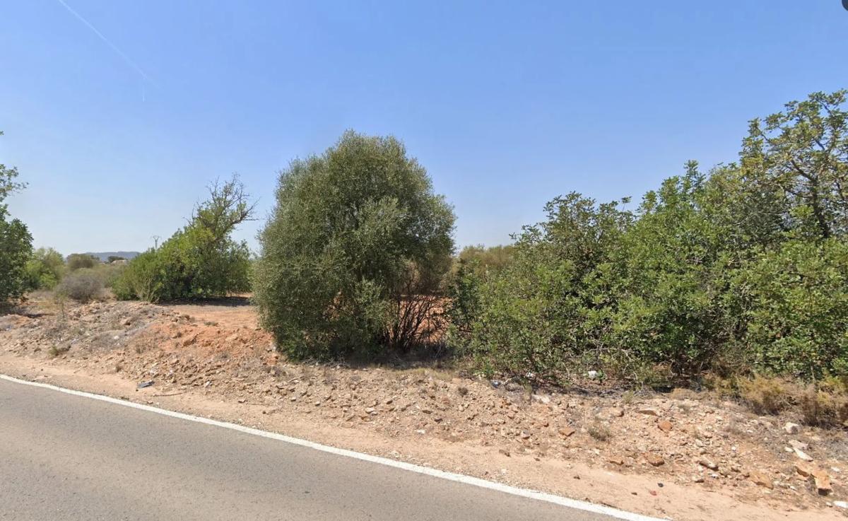 Terreno en venta en La Pobla de Vallbona, Valencia photo 5