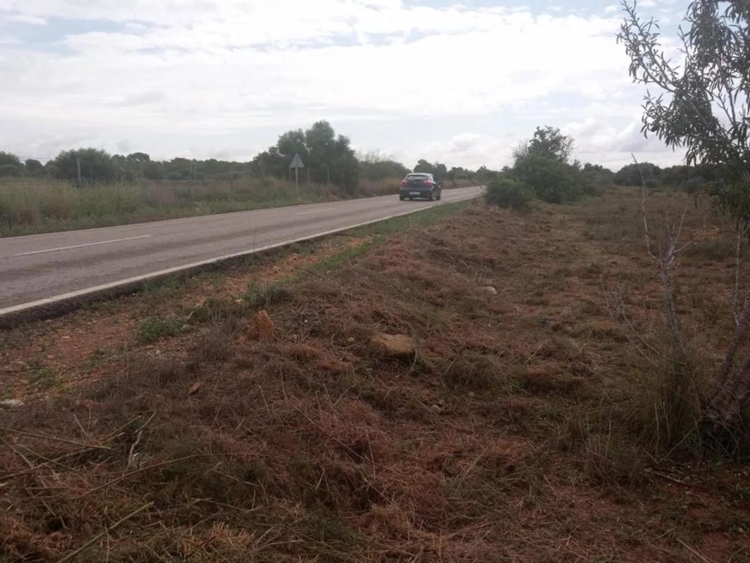 Land for sale in La Pobla de Vallbona, Valencia photo 3