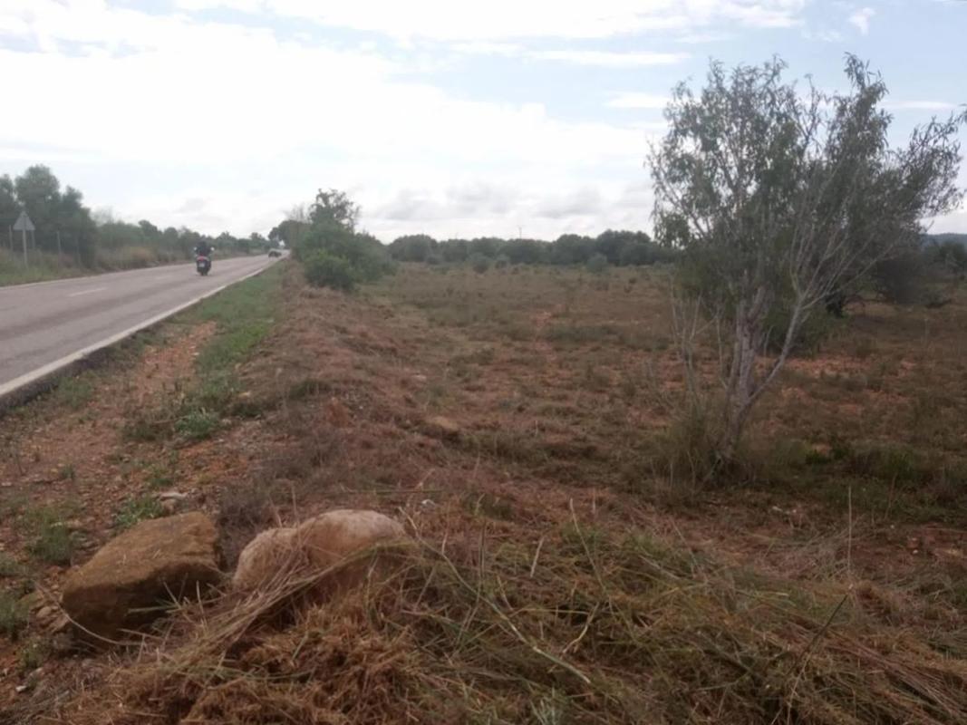 Land for sale in La Pobla de Vallbona, Valencia photo 4