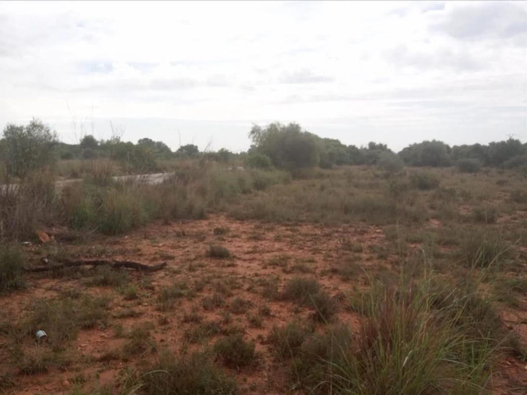 Land for sale in La Pobla de Vallbona, Valencia photo 5
